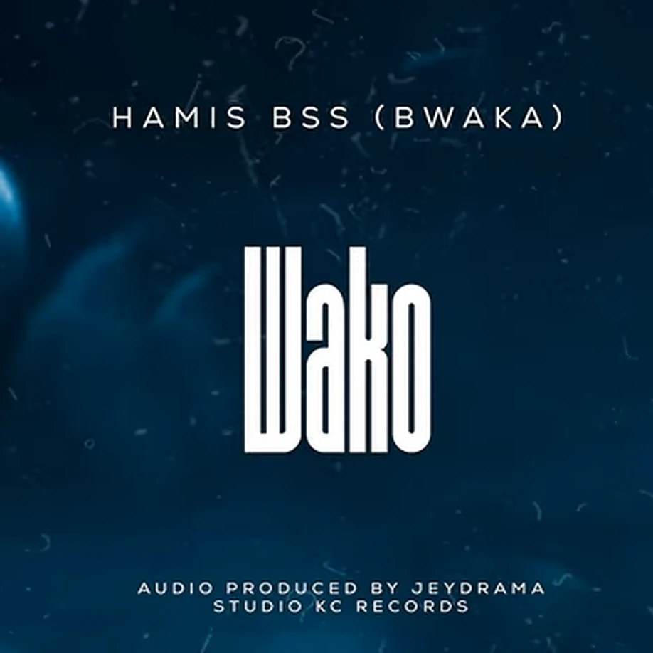 Hamis BSS - Wako Mp3 Download